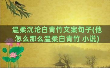 温柔沉沦白青竹文案句子(他怎么那么温柔白青竹 小说)